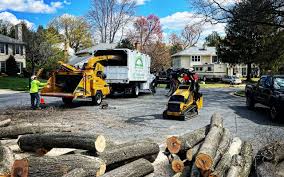Lawn Pest Prevention in Orland, CA