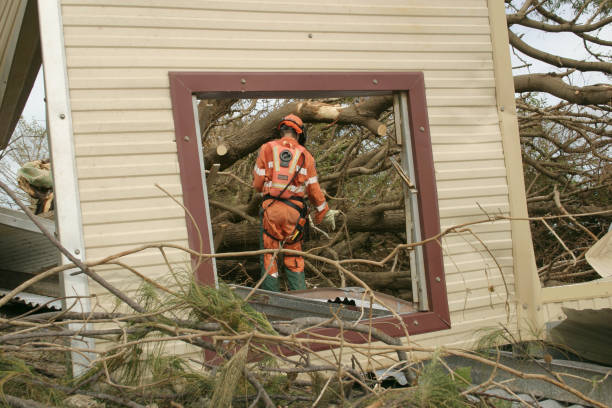 Best Tree Removal  in Orland, CA